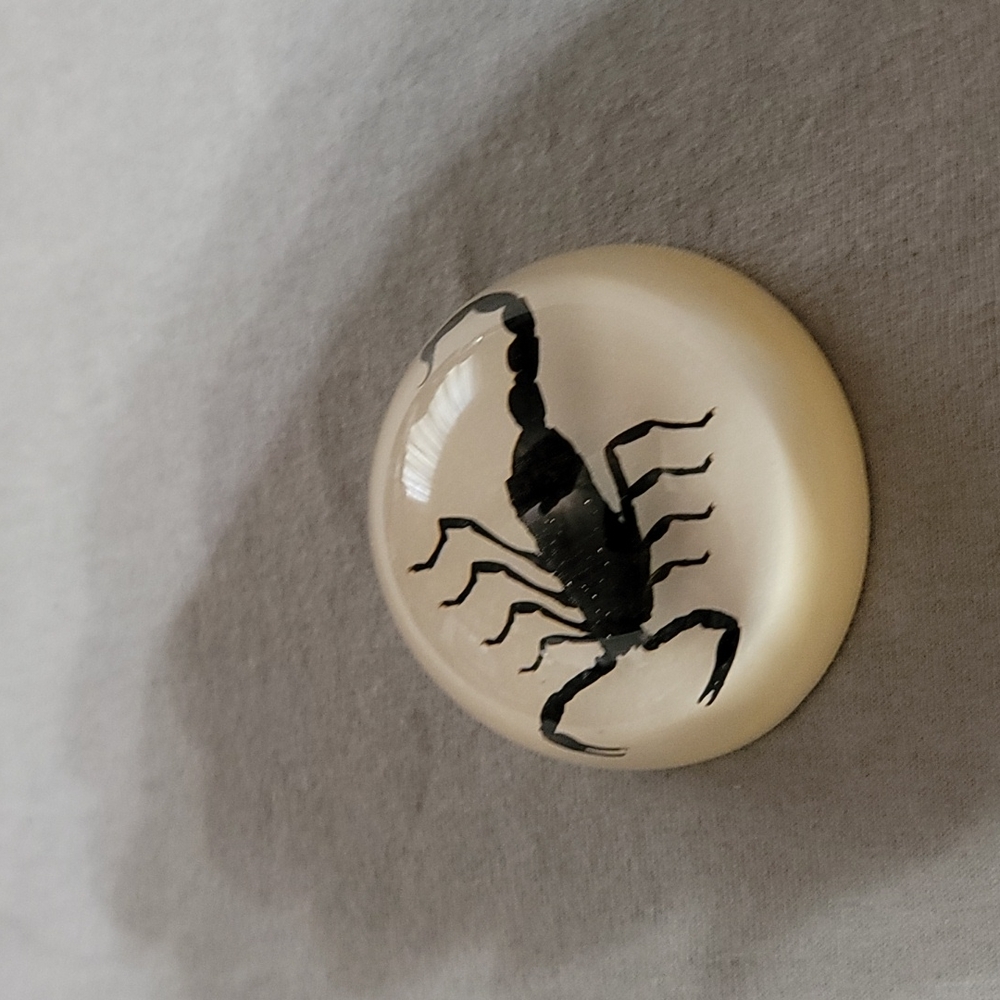 Vintage Scorpion Lucite Paperweight